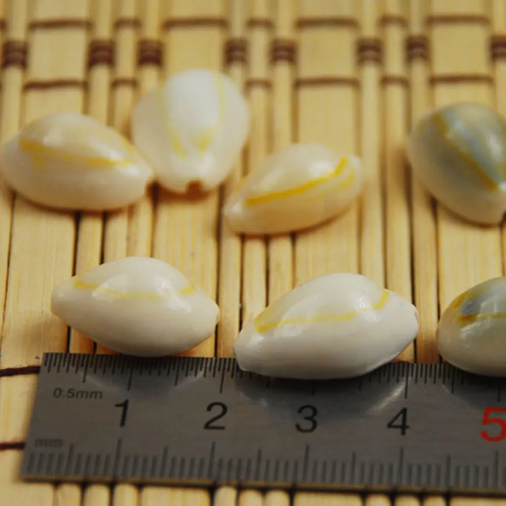 

100Pcs Sea Style Decor Gold Circle Conch Accessories Light Weight Delicate Appearance Daily Worn Casually Shell Ornaments