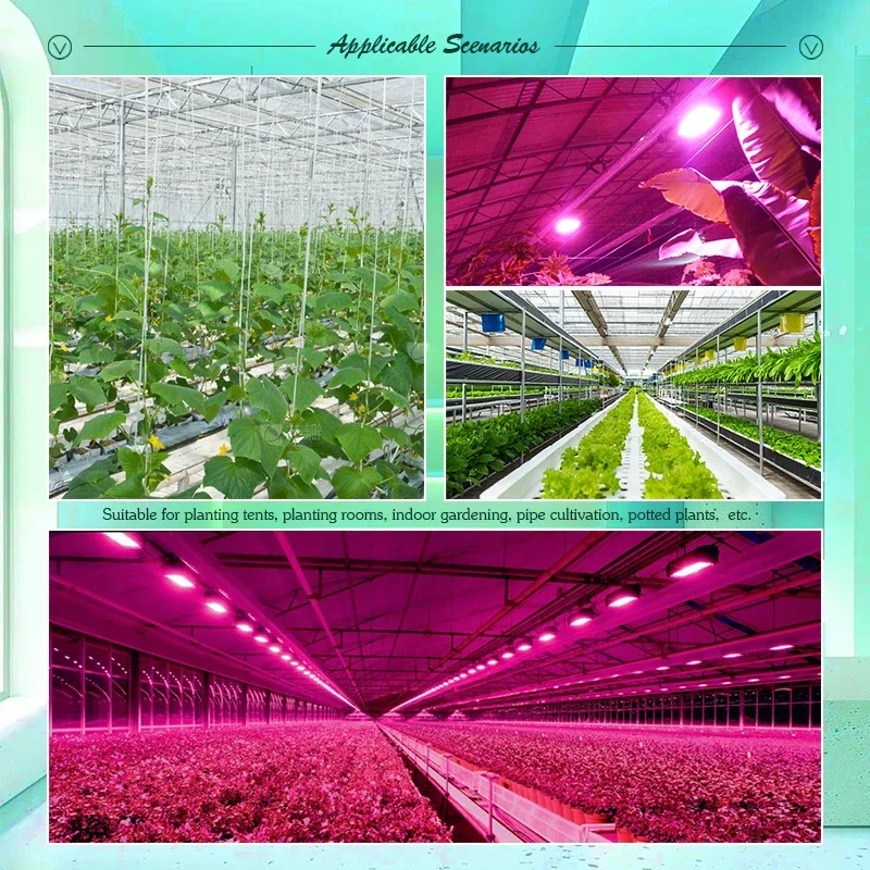 50W 100W Led Kweeklicht Voor Kamerplanten Ac 220V Volledig Spectrum Groenten En Bloeischakelaar Ip65 Waterdichte Schijnwerper Plantenteelt