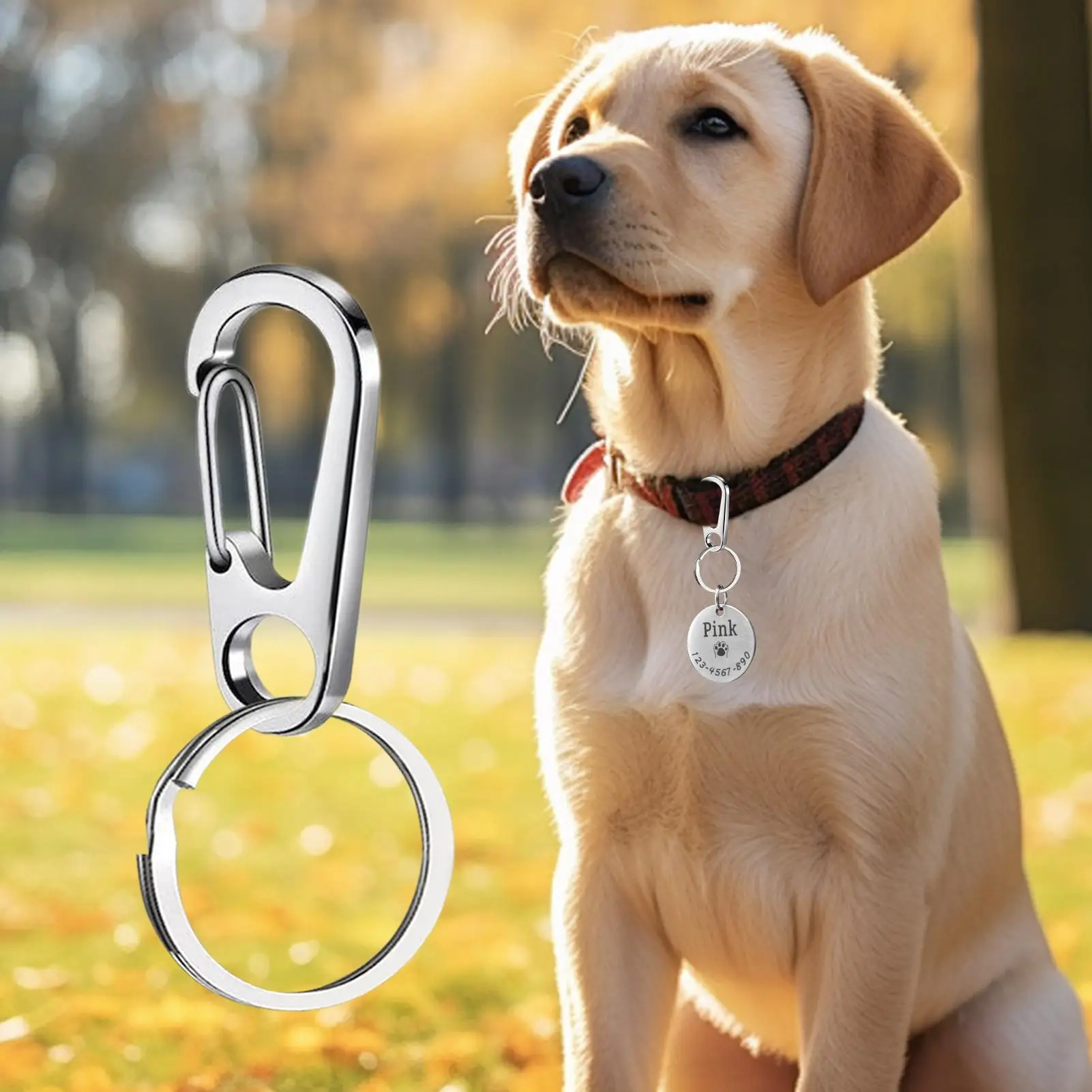 Dog Tag Clip For Collar 4-pieces Pet Collar Tag Hook Quick Clips Fixing Pet Positioning Device Supplies For Travel Walking