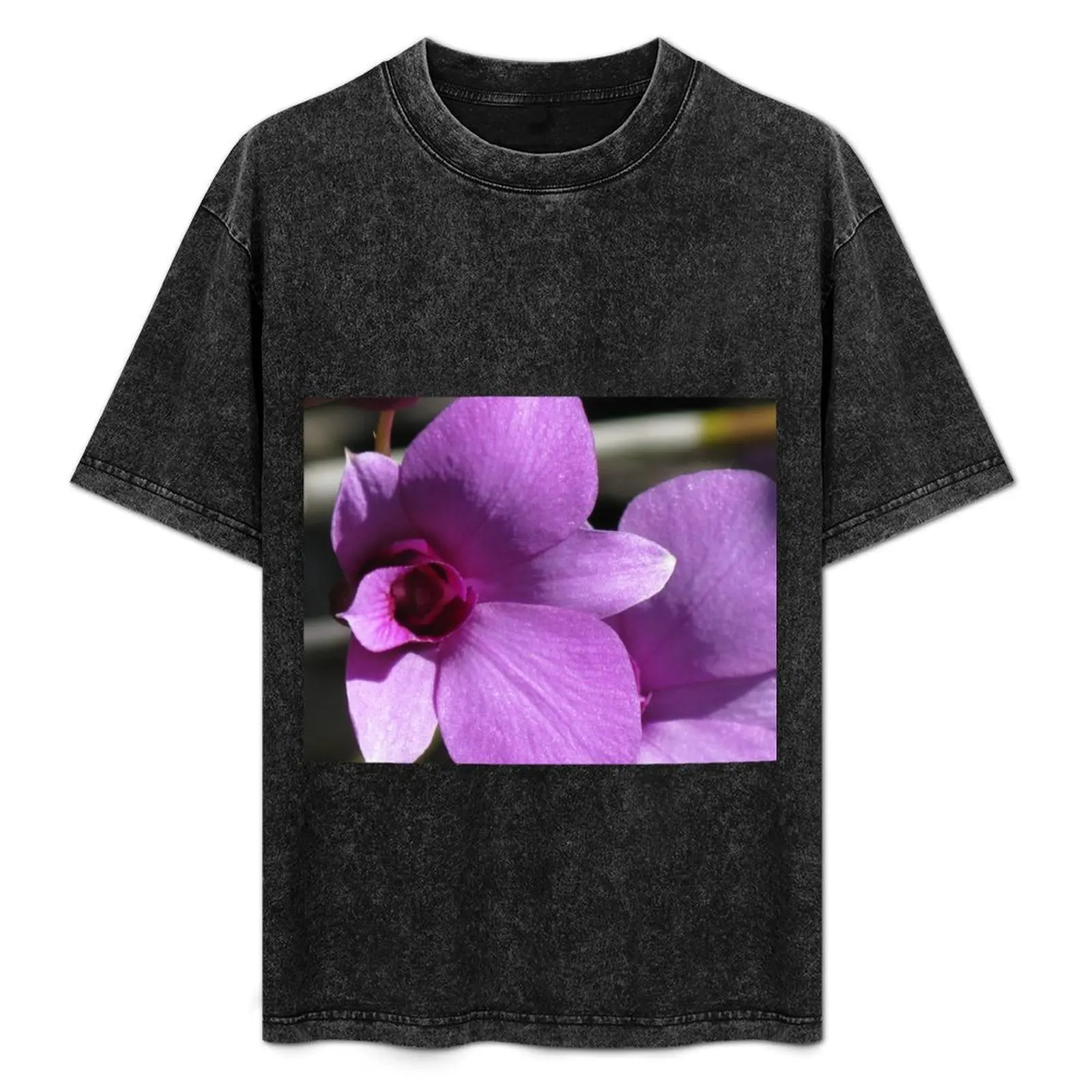 

Cooktown Orchid (Dendrobium bigibbum) T-Shirt aesthetic clothes cheap stuff mens tall t shirts