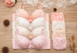 Teenage Girls Floral Underwear Sets Student Wireless Lace Training Bras Bow Panties Sets Cotton Teens Development Clothes