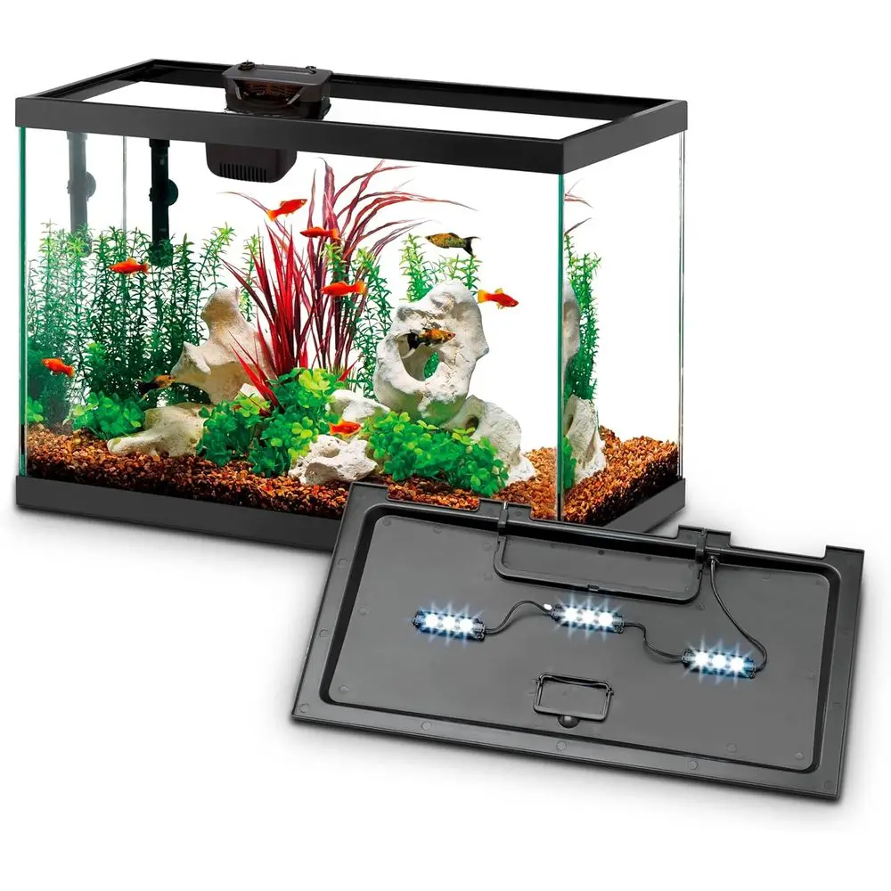 10-Gallon Aquarium Kit with Smart Filtration and LED Lights for Fresh and Saltwater Fish