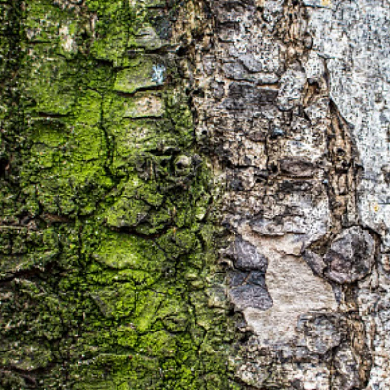 

12 In 1 Hex Screwdrivers Metal Tool Kit Set RC Hobby Tool For RC Helicopter Car Airplane Drone Aircraft Home Repair