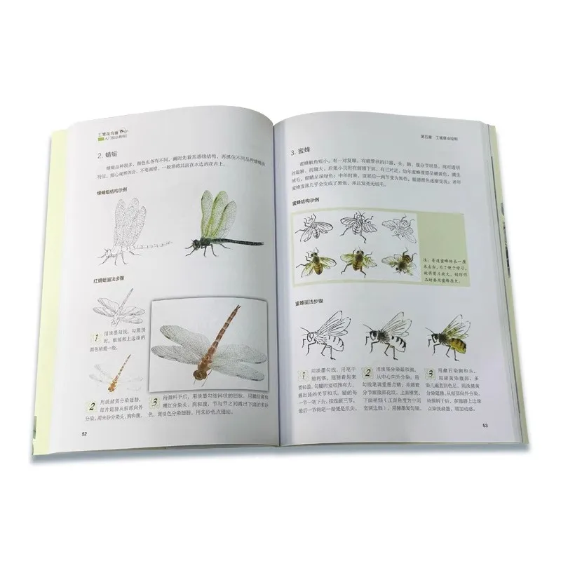 Introduction to Techniques of Gongbi Flower and Bird Painting Art Book 136 Page