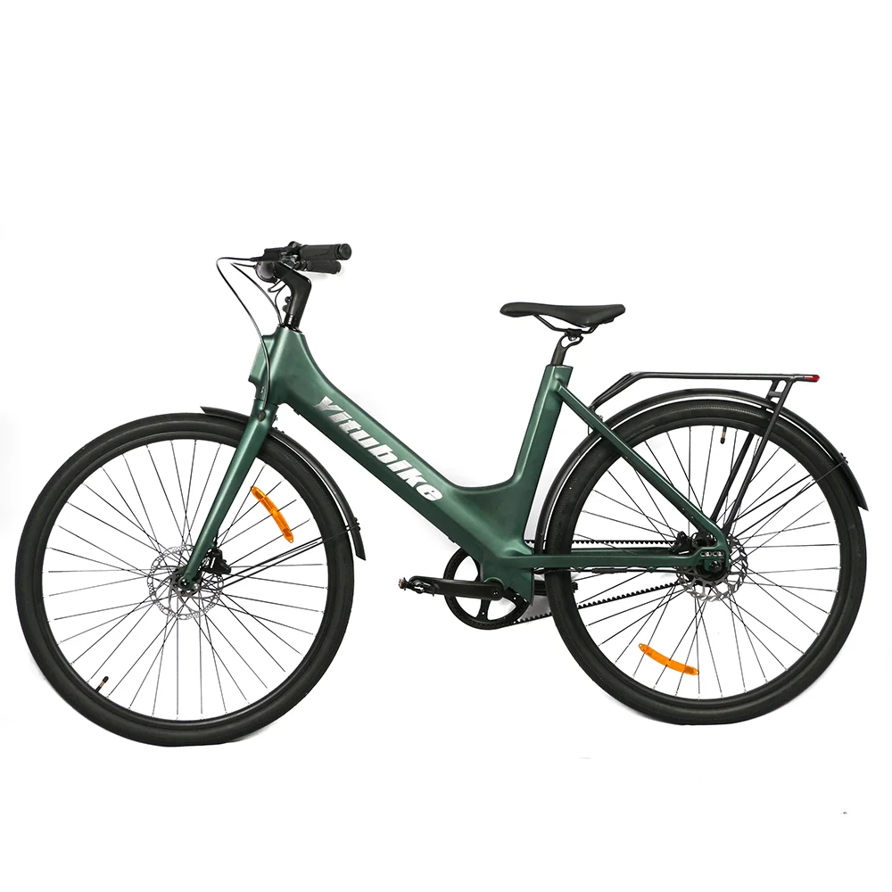 250W Pedal Assist Light Weight Single Speed Road Ebike Electric Bike for Adult Customized Color 36v Ebike