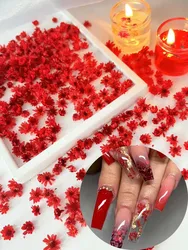 1 Doos Rode Nep Bloem Nail Art Bedels Bloemen Nagel Decoratie Decal Uv Gel Polish Accessoires Bloemen Delen Diy Nagels