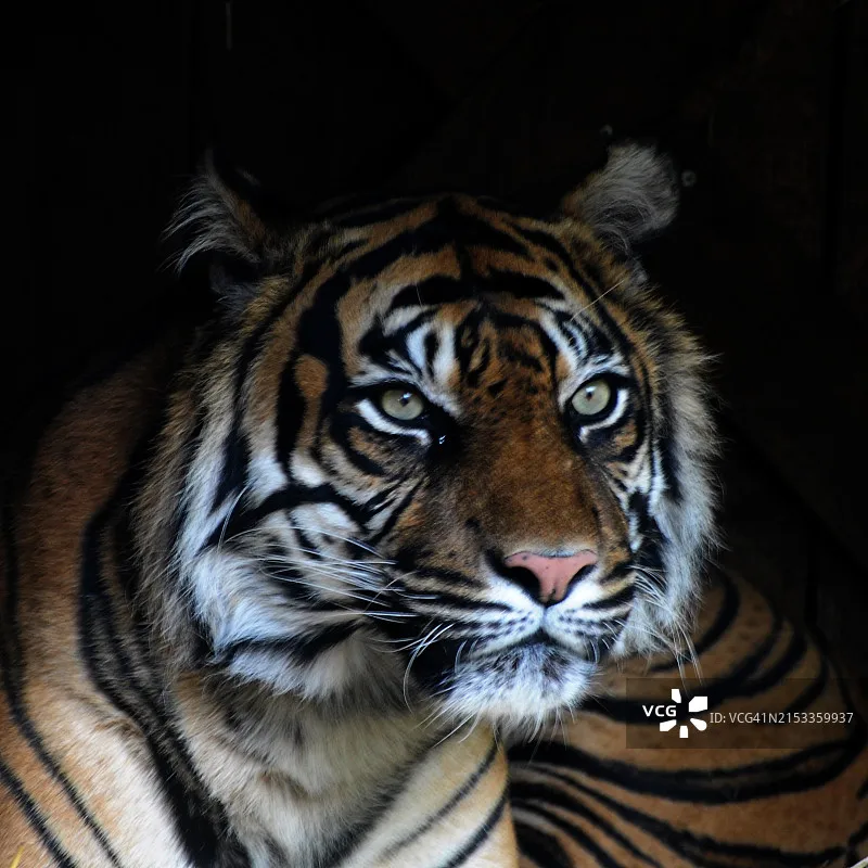 

Skydroid C20 Three-Axis Night Vision Gimbal Camera 1080P 22x Optical Zoom Ideal for H16 H30 Remote Control Drones