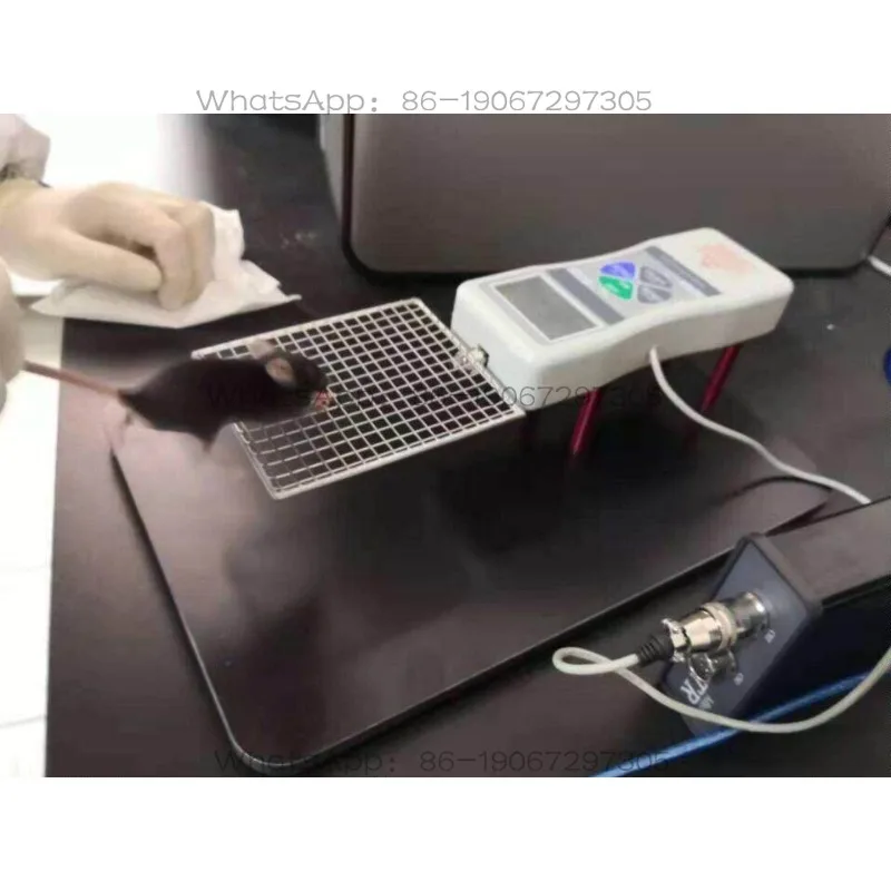 5565  Big and small mouse grip tester, mouse grip tester, rat mouse grip tester