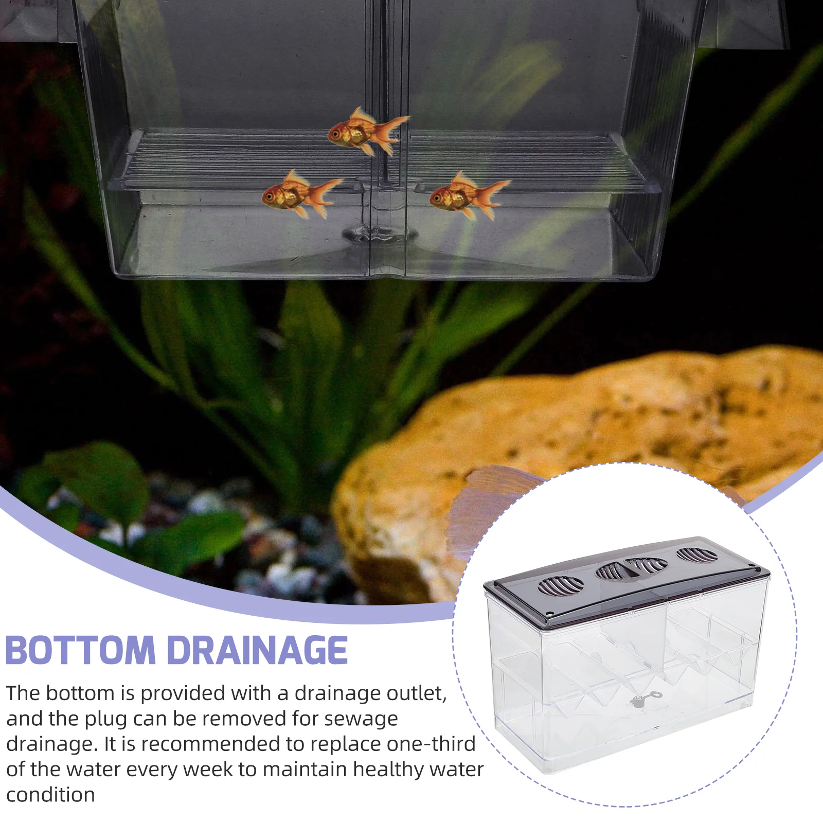 Fish Tank Accessories Betta Box Acrylic Breeding Case Aquarium Supply Accessory Coffee