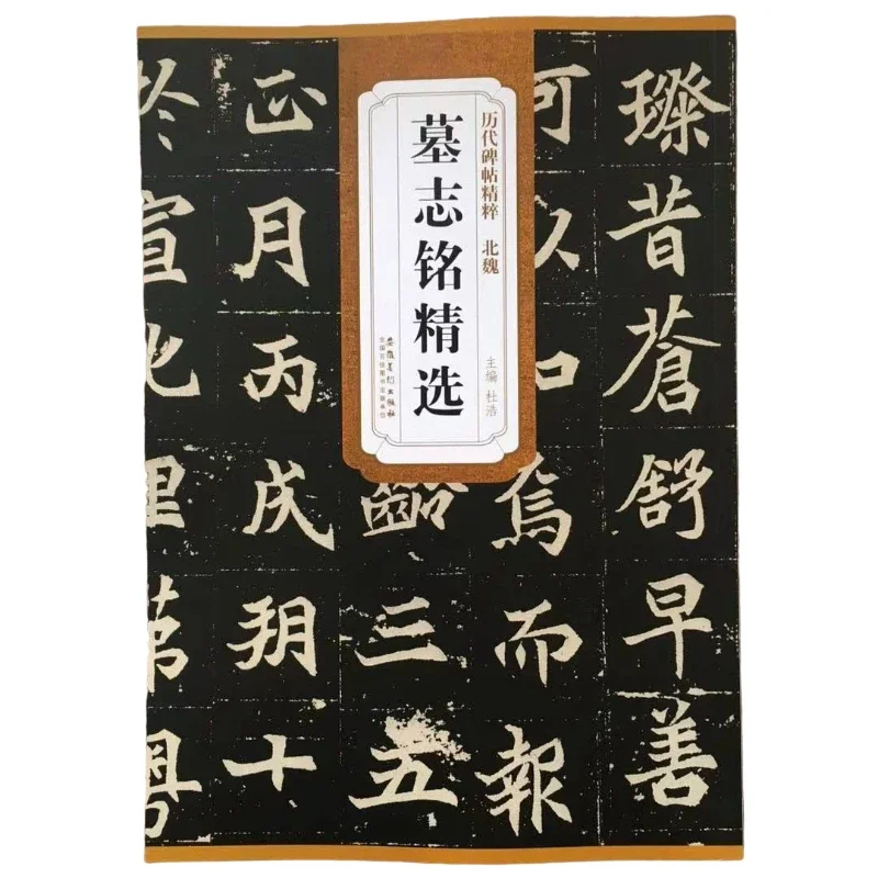 Chinese Small Regular Script Copybook Running Script Brush Pen Calligraphy Book Inscription in Past Dynasties Collection Book