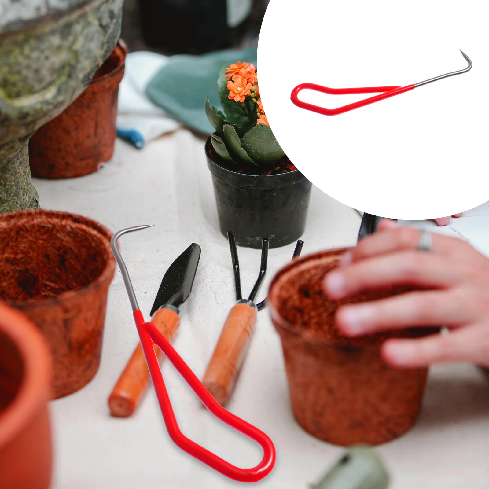 

Stainless Steel Manual Weeder Root Extractor Soil Loosener Ergonomic Handle Curved Leveraged Design Lightweight Rustproof Garden