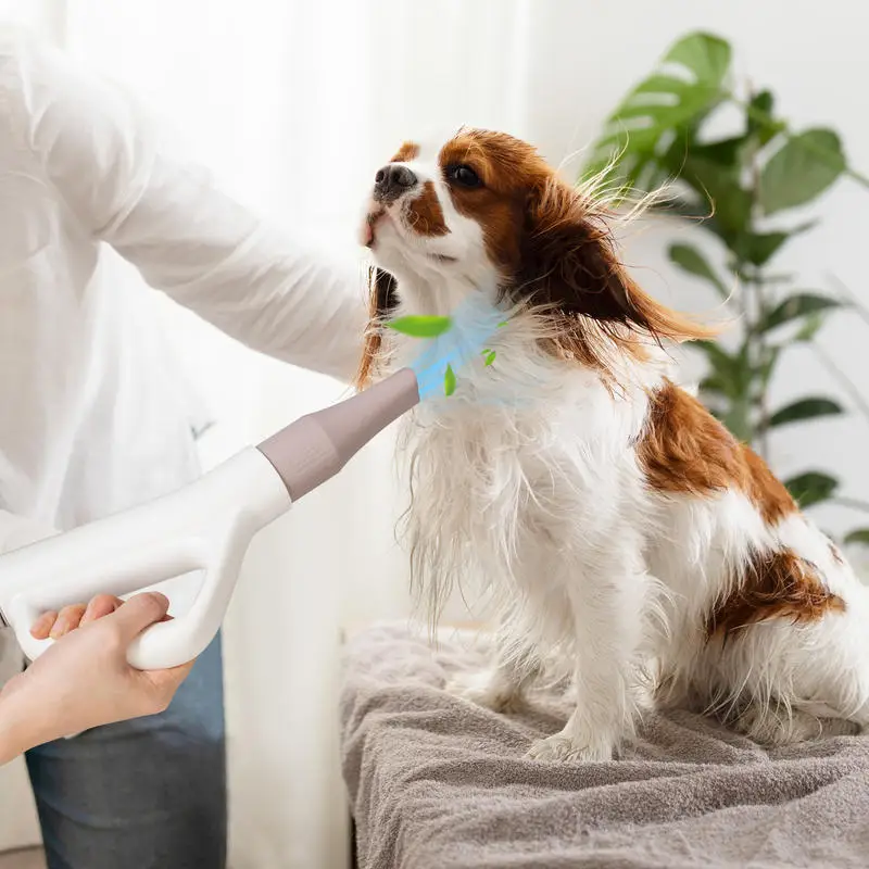 

Dog Cat Hair Blower with Negative Ion Function and Adjustable Temperature
