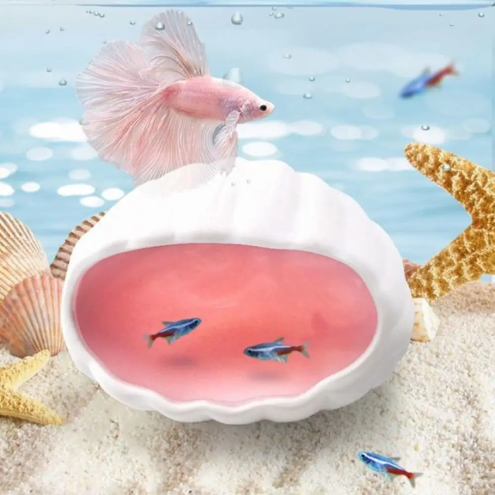 Ceramic Fish Shell Pet House 5