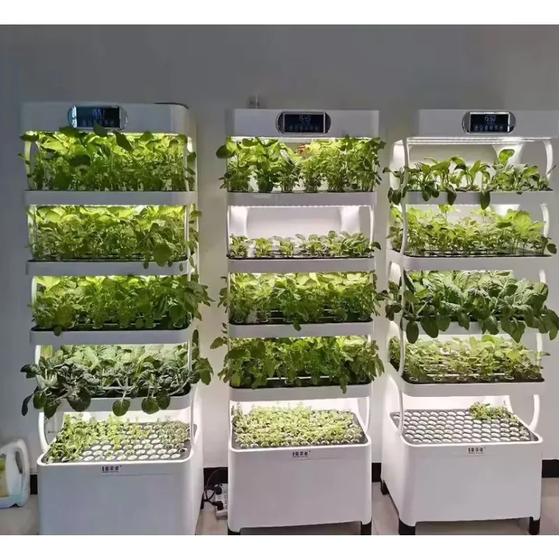 

Lyine Hydroponic Growing System Home Use Controllable Hydroponic Grow Equipment Home Smart Farm