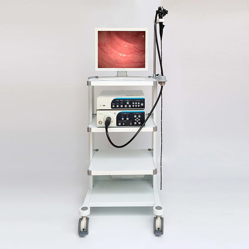 Hot-selling Veterinary Flexible Video Gastroscope Endoscope Gastroscope Colonoscopy Machine Price