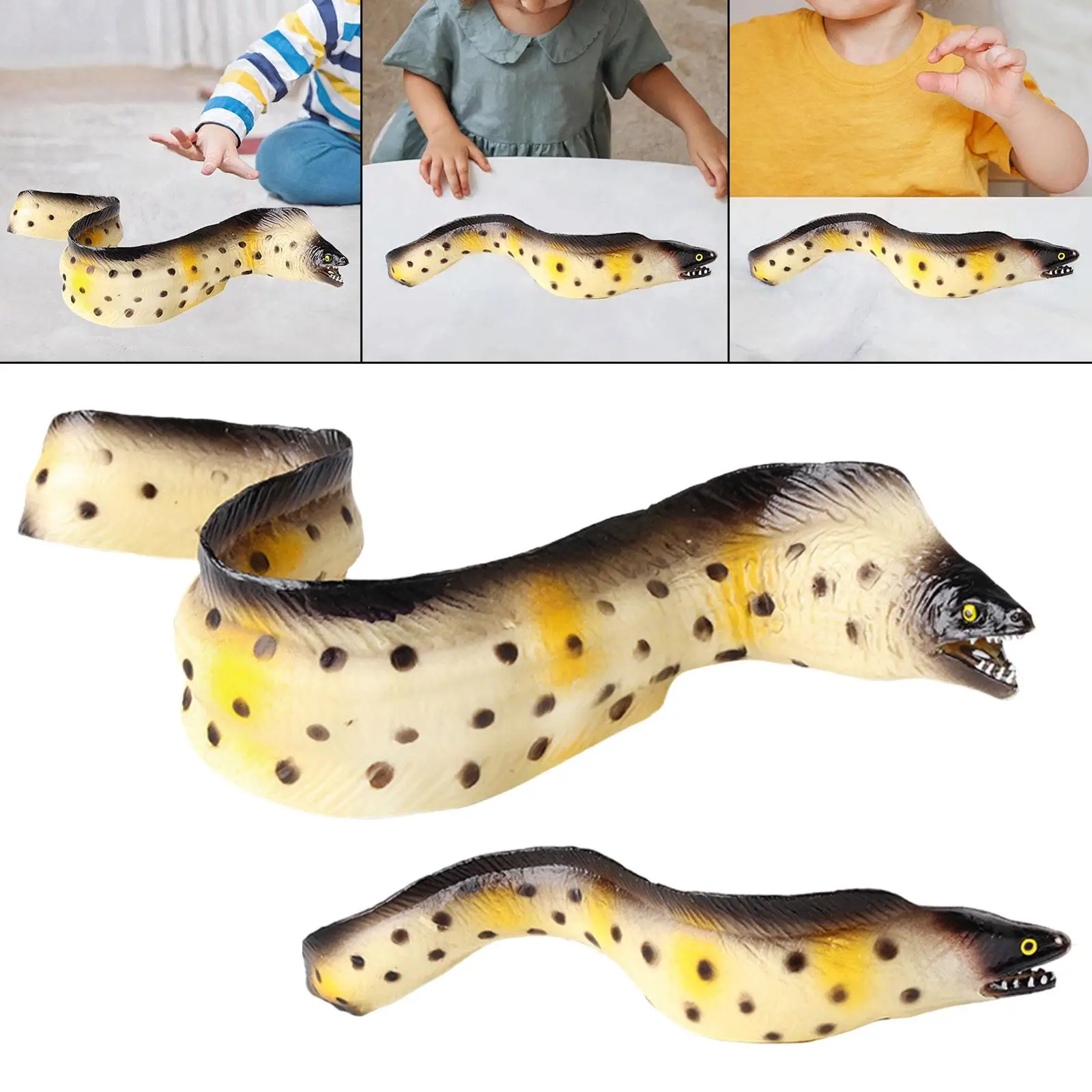 Paling Figuur Speelgoed Dier Beeldjes Model Wetenschap Educatief Speelgoed Dier Figuren Simulatie Speelgoed Voor Kinderen Kind Peuters Meisje Jongens