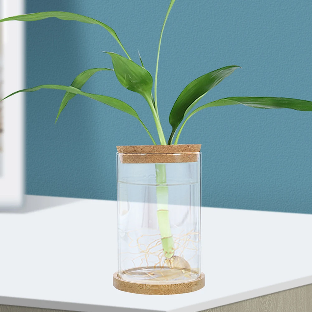 

Glass Vase with Wood Plug Micro Landscape Diy Bottle Decor Container Jar Moss Landscaping Desktop Planter Hydroponic Culture