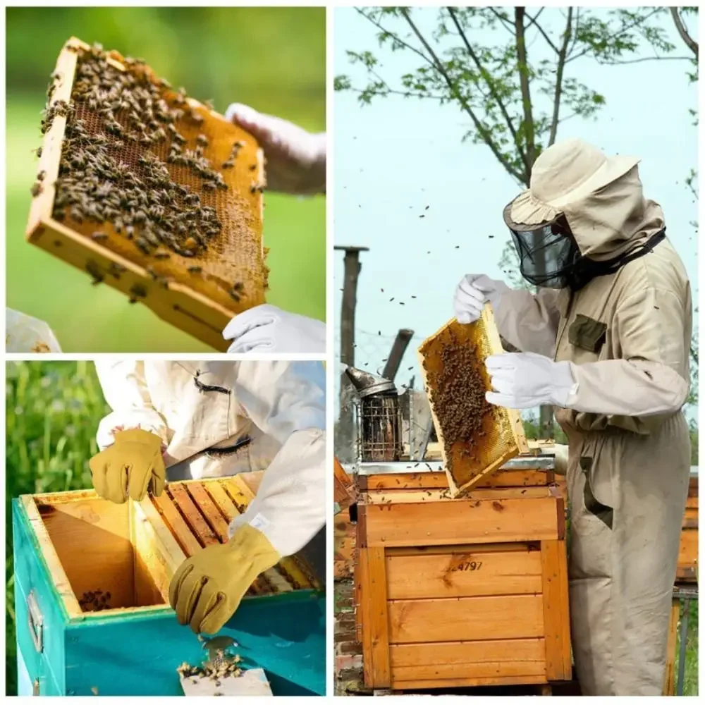1 Pair Durable Safe Beekeeping Gloves Professional Anti-sting Anti-bee Gloves Canvas Sheepskin Beehive Tools Beekeeping Tools