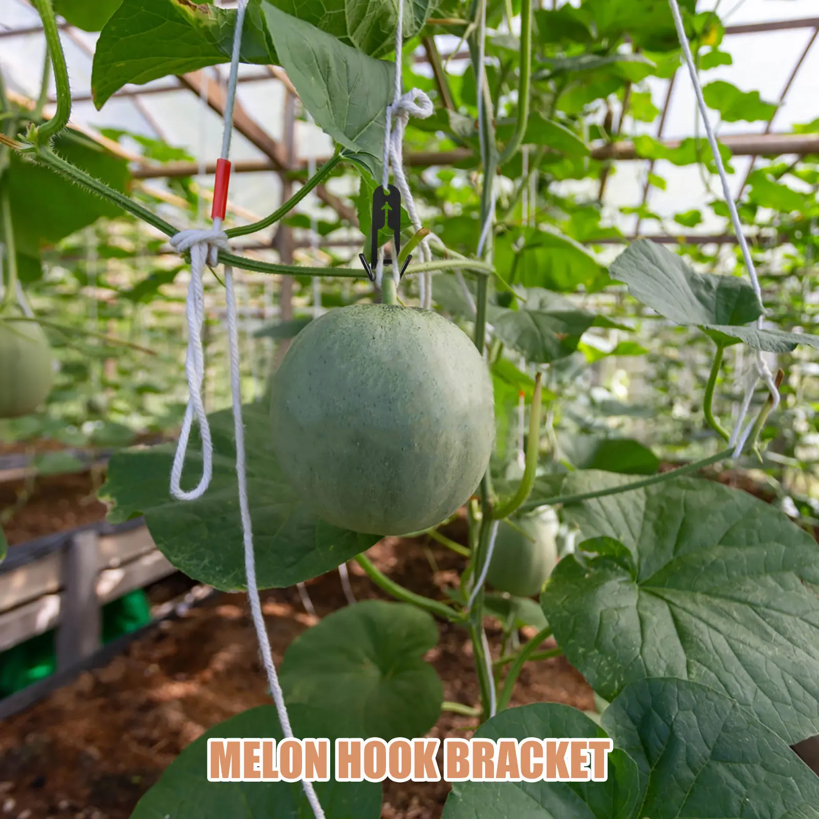 

50 Pcs Melon Hook Bracket Durable Hooks for Hanging Plants Cantaloupe Support Garden Trellis Vines Outdoor Climbing Heavy Duty