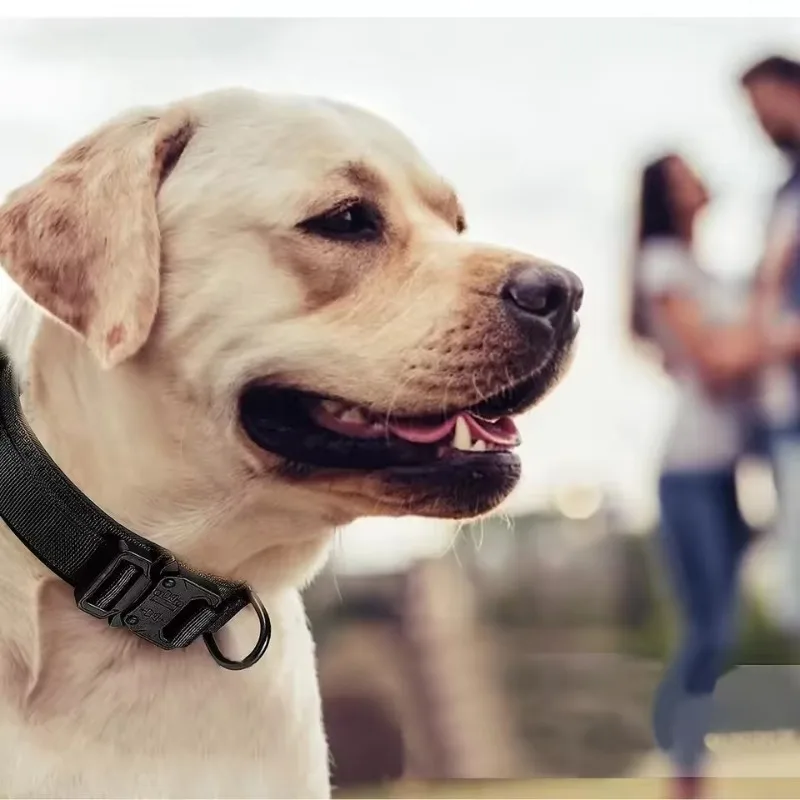 

Durable tactical dog collar, traction rope combination, breathable nylon+metal buckle, suitable for training large dogs