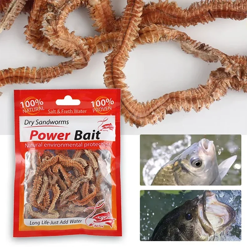 Dry Sandworms 1/3/5/10PCS Fishing Lures Lifelike Dry Lugworm Lures Soft Artificial Bait Saltwater Freshwater Feeder For Fishing