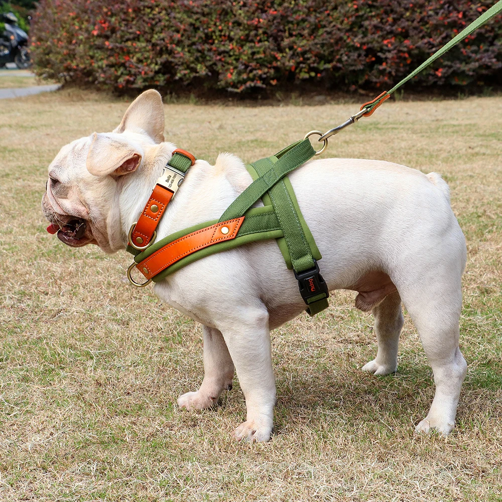 Conjunto de arnês e trela de nylon, colete de cachorro de couro, cinta para cães pequenos, médios e grandes, buldogue francês