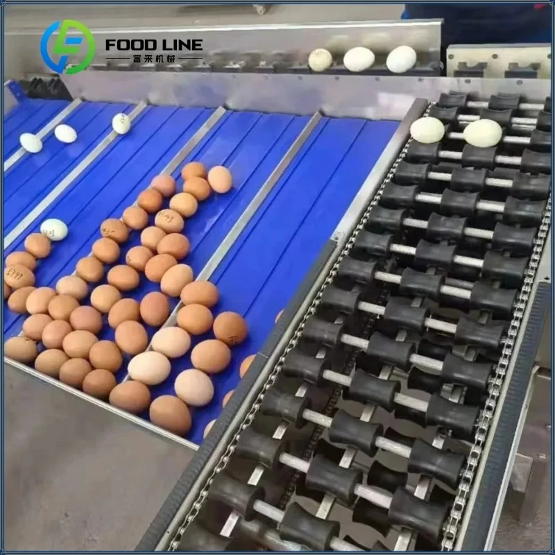 Automatic Chicken Egg Grader Sorter Weigh Mini Pick Basic Egg Grading Sorting Machine for Sale FL Customized