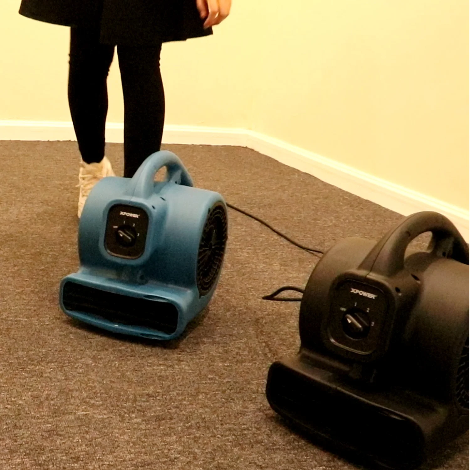 XPOWER-مجفف سجاد أسود قوي ، محرك هواء صغير ، مروحة أرضية احترافية خارجية ، فندق ، سوبر ماركت ، صناعي