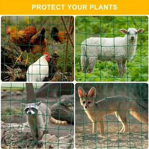 Mạng lưới leo núi bảo vệ hoa khỏi cây leo sáng kinh viên buổi sáng hoa vinh quang hoa cucumber cucumber 12 Hạt bán hàng chính dưa chuột - №10