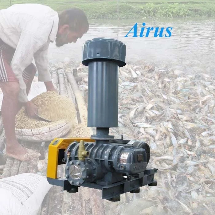 Industry Fish Pond Aeration Rotary Supercharger Roots Type Blower