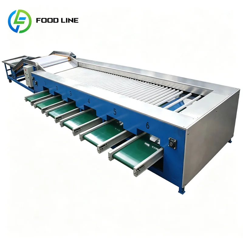 Commercial Produce Sorter Fruit Size Grader Vegetable Grader for Apple Orange Pear Lemon Tomato Customized