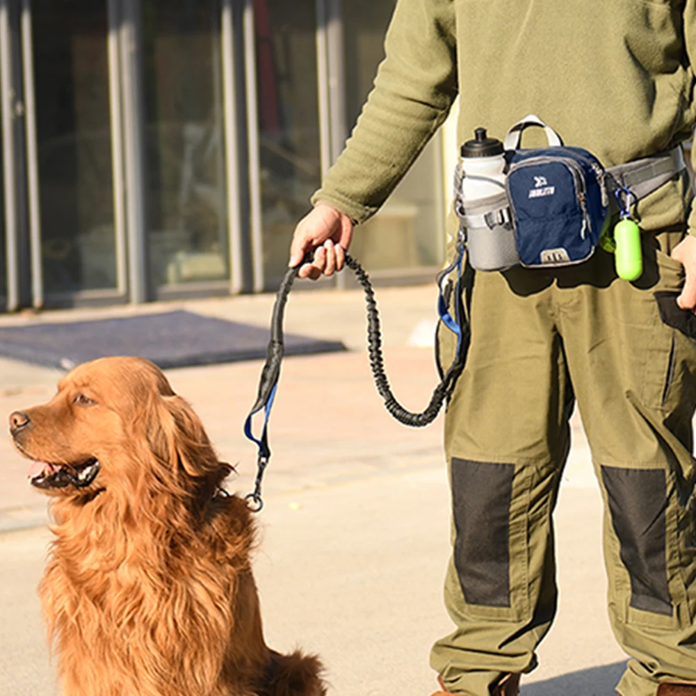 Thumbnail 4 - #34 Trending Dog Walking Bags Right Now