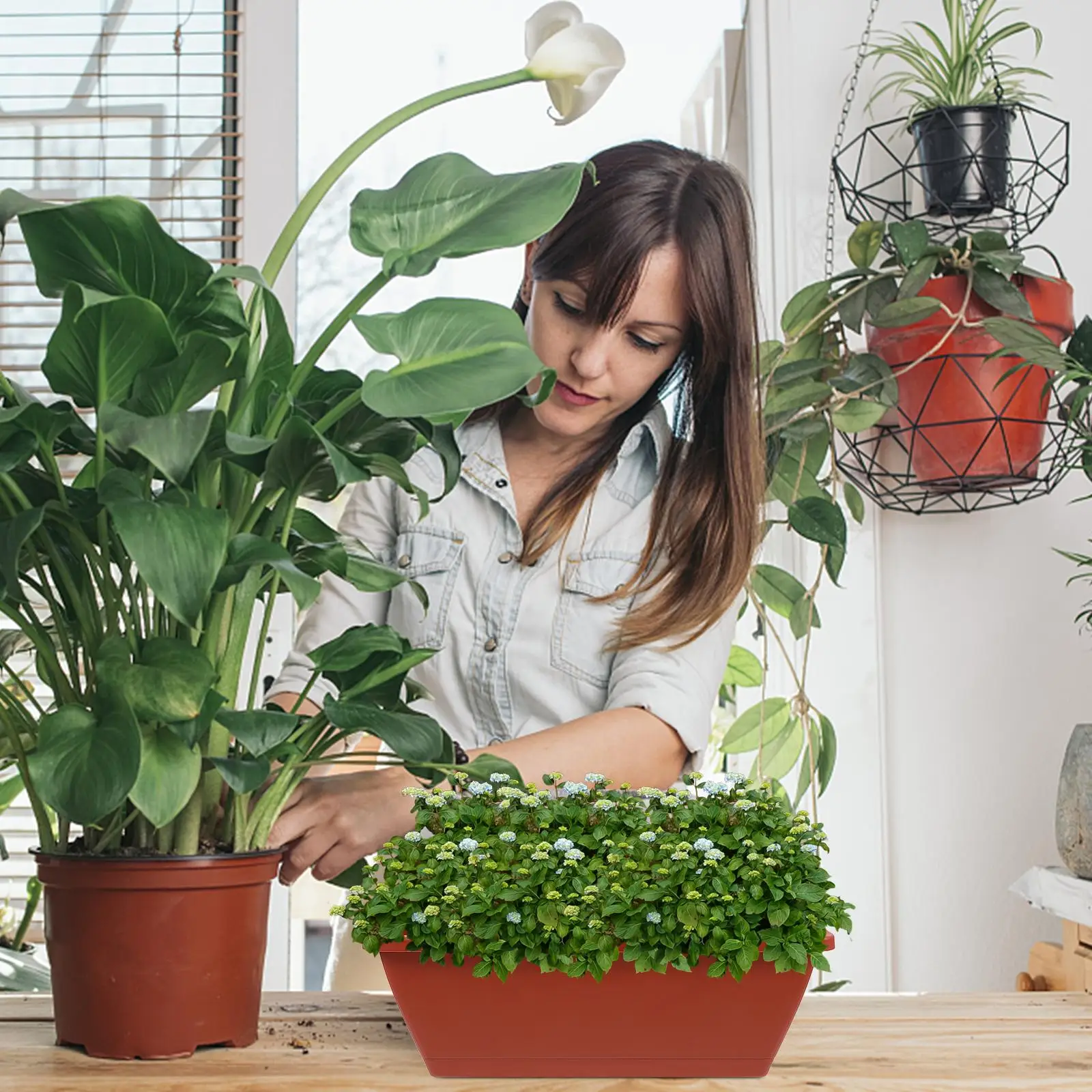 6 Pcs Decorations Planter Office Indoor Pots Vegetables Growing Container Plastic Bonsai Flowerpot