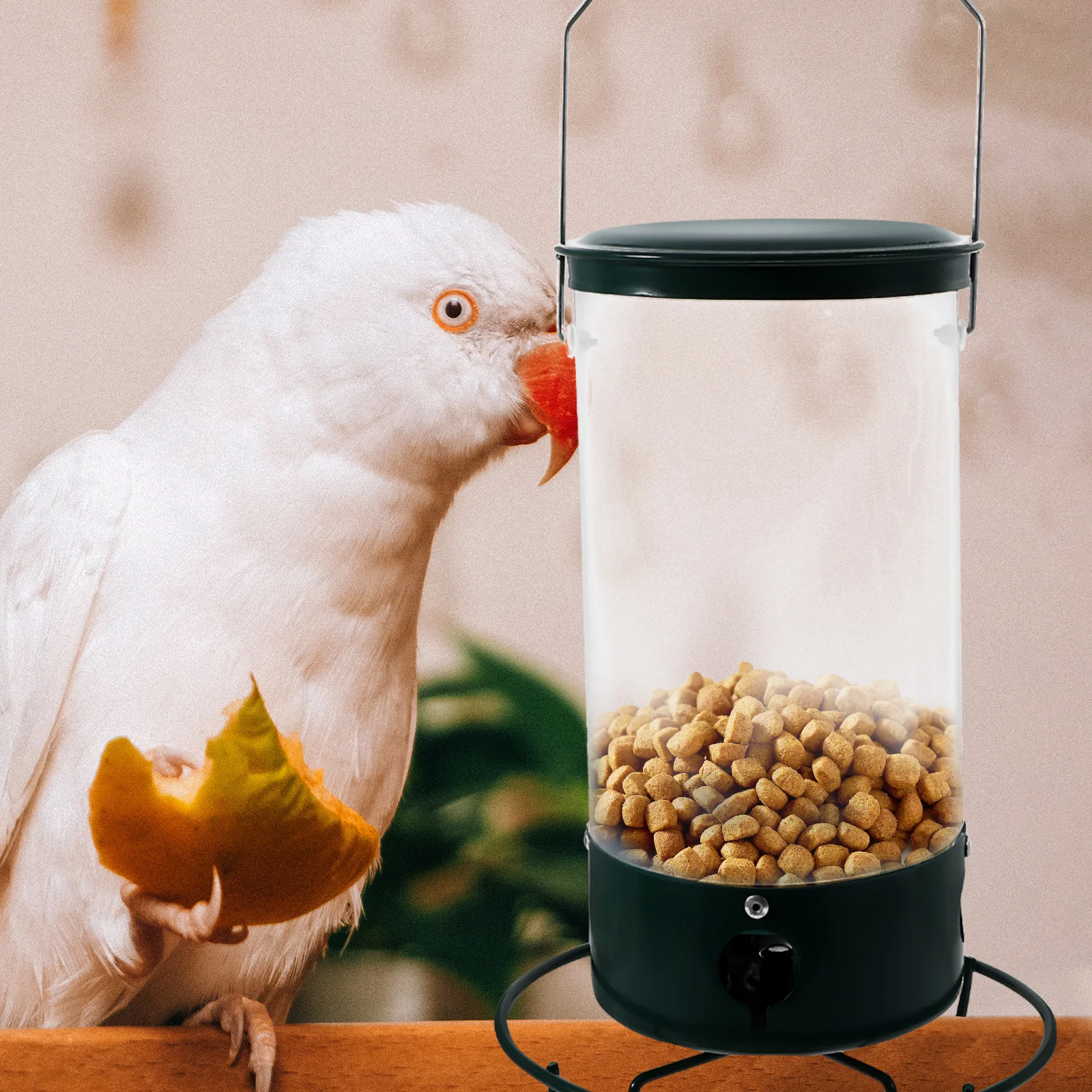 

Outdoor Hanging Bird Feeder Rotatable Sturdy Material Smooth Surface Garden Bird Feeding Tool Squirrel Feeder