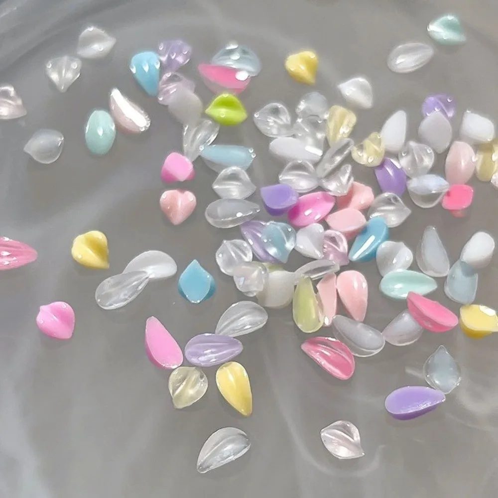 12 Grids/Box Nail Art Sequins Kit Transparent 3D Flower Petals Nail Art Glitter Set DIY Colorful Nail Charms Decorations