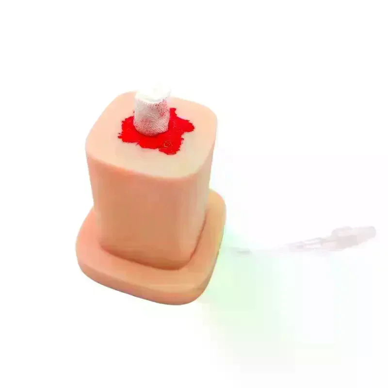 /&/Bleed Control Tourniquet Trainer Basic Gunshot Wound Packing Trainer For Nurse Education Wound Packing Task Trainer