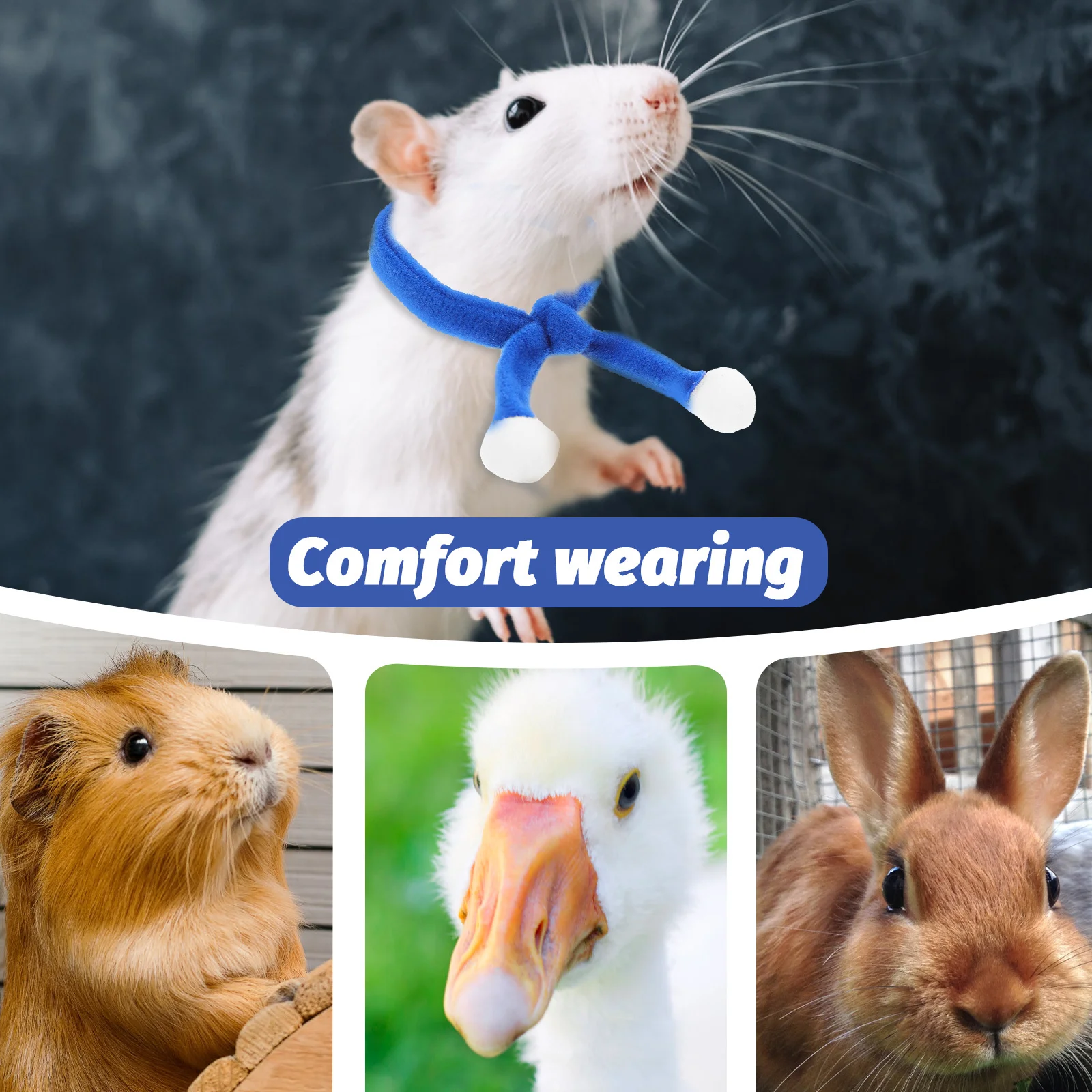 반려동물 크리스마스 모자와 스카프 세트 이미지