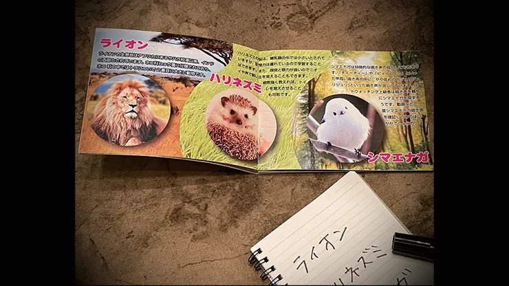 Animal Photo Book by Tenyo -Magic tricks