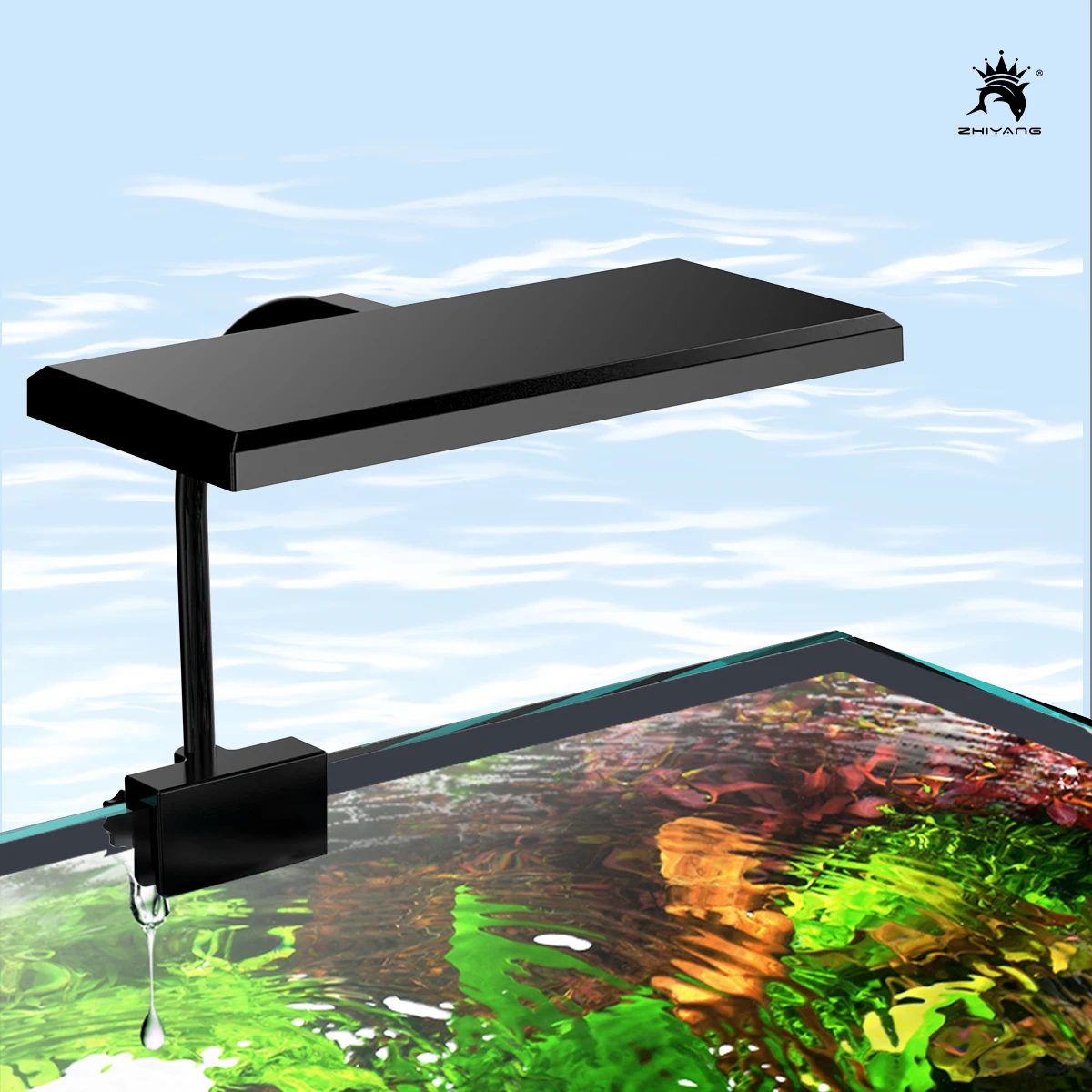 110-240V Aquarium Fish Tank Ba - Aquarium Plant Seeds ulasan dan harga