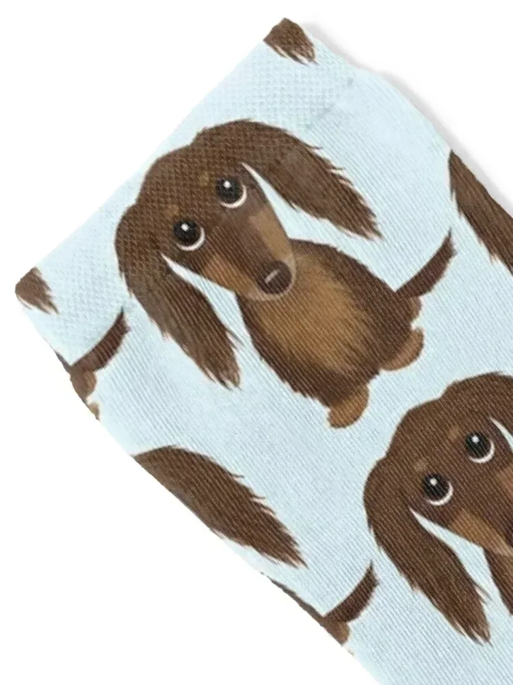 Longhaired Chocolate Brown Dachshund Cartoon Dog Socks kawaii christmas gift fashionable hiphop Men's Socks Women's