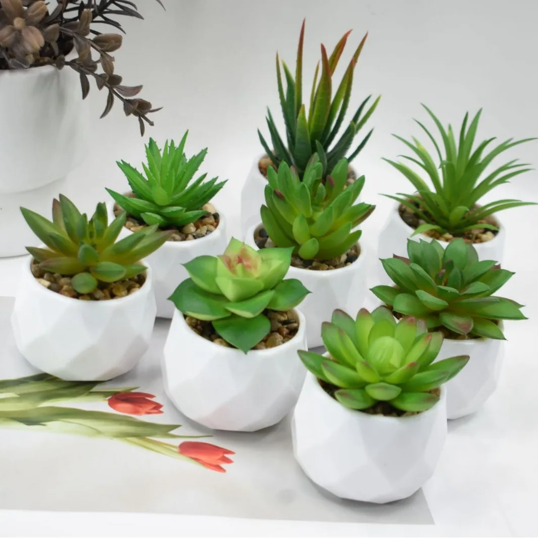 Artificial Succulent Plants Potted Assorted Decorative Faux Succulent Potted Fake Cactus Cacti Plants with Pots Decoration
