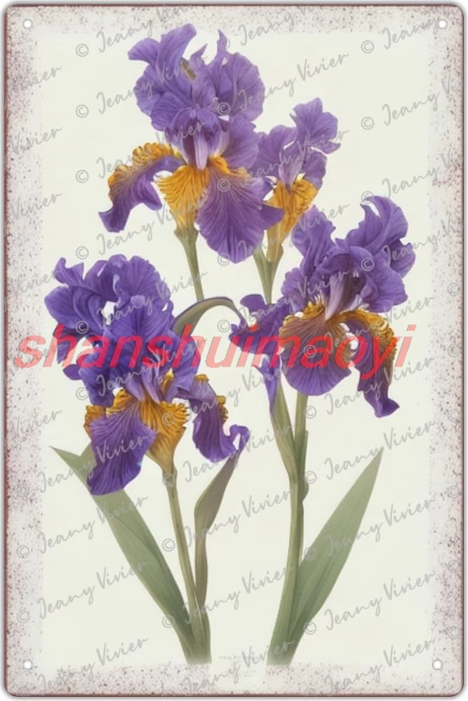 Zomyto Purple Iris Wall Art, Vintage Botanical Art, Violet Iris Flower Wall Decor, Shabby Chic Wall Decor French Decor Funny Met