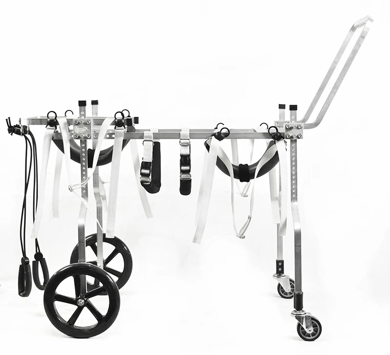 Adjustable Pet Wheelchair, 4 Wheels Dog Cat Mobility Aid for Paralyzed or Disabled Front Legs, All Sizes, Durable Support