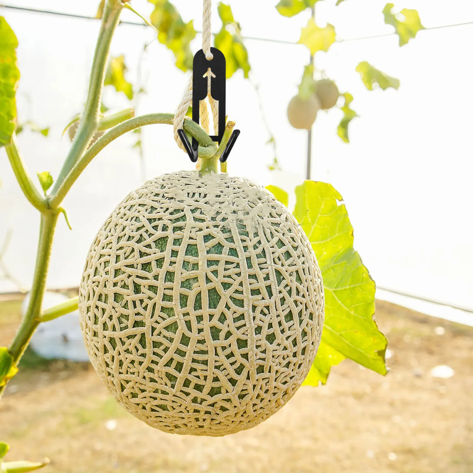 

50Pcs Cantaloupe Reticulated Hook Heavy Duty Plant Hangers Outdoor Garden Trellises Climbing Vines Cantaloupe Hook