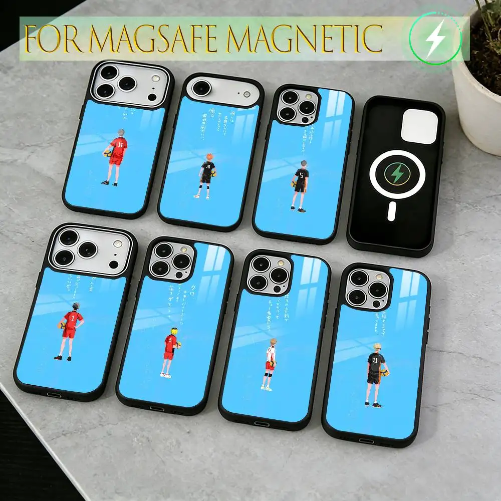 

Paladin Phone Case For iPhone17,16,15,14,13,12,11 Plus,Pro Magnetic For Magsafe Wireless Charging