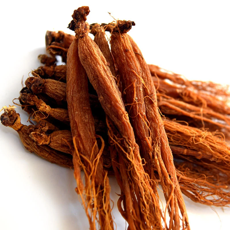 Ginseng Rojo Coreano de 10 Años/Kit Esencial de Costura y Reparación para el Hogar