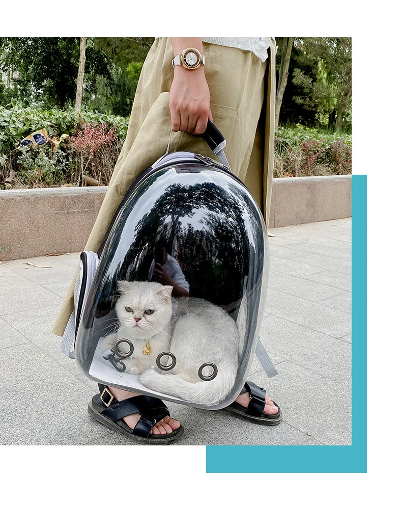 Thumbnail 4 - #64 Best Dog Backpacks to Buy In 2026