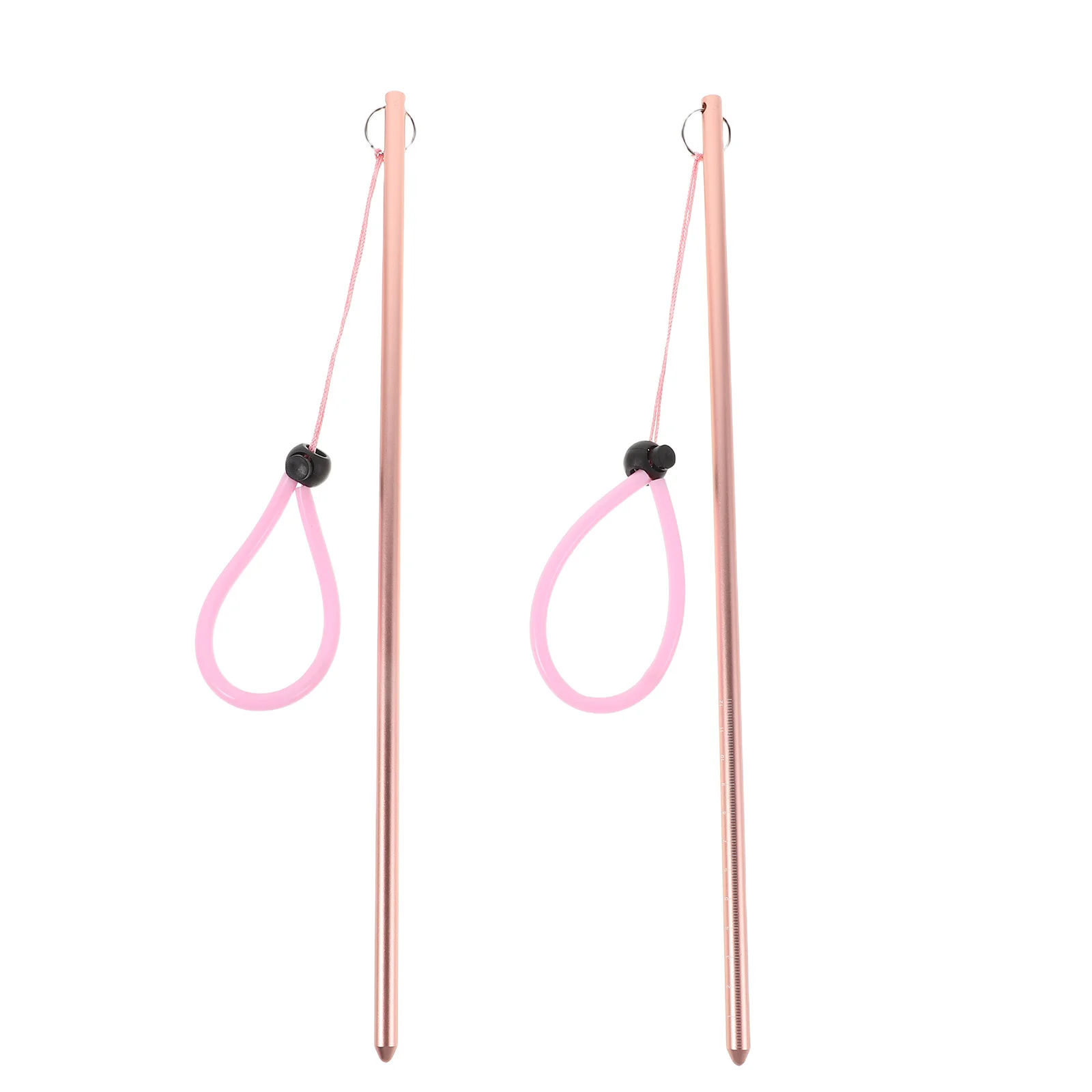 

2pcs Aluminum Alloy Diving Sticks Scuba Diving Probe For Underwater Exploration Bottle Knocker Tool With Lanyard For Pool