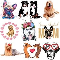 Iron on Dachshund Bulldog Golden Retriever Husky Labrador Patches Clothes DIY T-shirt Dress Applique Heat Transfer Vinyl Sticker