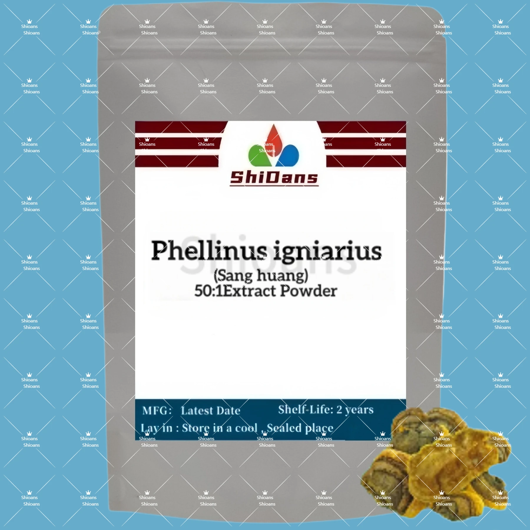 

Global Customized Packing for Phellinus igniarius Extract 30:1 with Aluminum Foil Bag for Fast Shipping